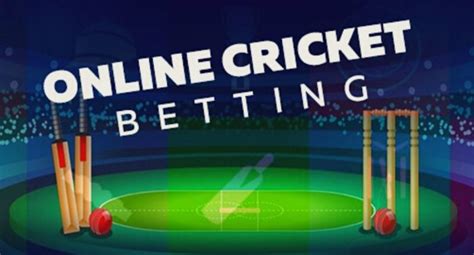 betting cricket website|online cricket betting india.